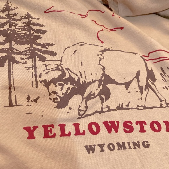 NWT FREE PEOPLE We the Free Graphic Camden Distressed Sweatshirt Yellowstone - Picture 4 of 4